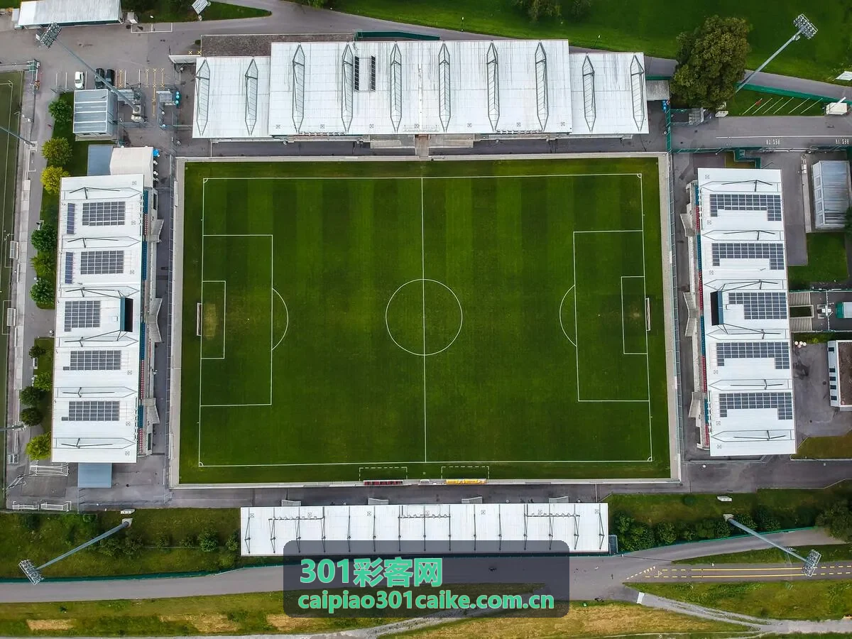 301彩客网社会责任与公益服务资料